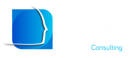 Effigy Consulting